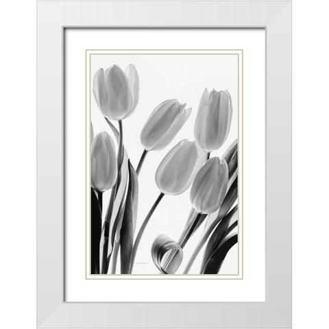 Shadows and Light I White Modern Wood Framed Art Print with Double Matting by Urquhart, Elizabeth