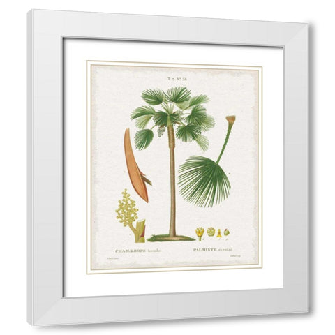 Island Botanicals I White Modern Wood Framed Art Print with Double Matting by Wild Apple Portfolio