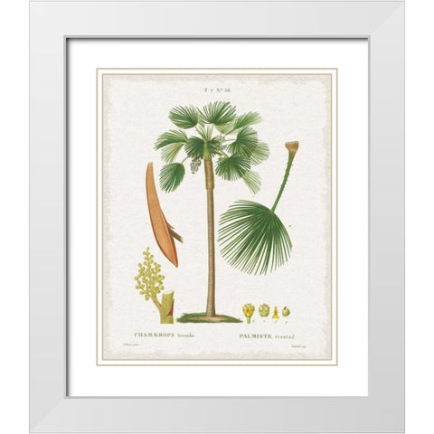 Island Botanicals I White Modern Wood Framed Art Print with Double Matting by Wild Apple Portfolio