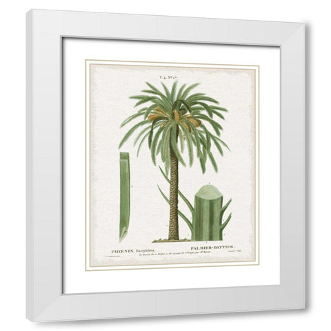 Island Botanicals II White Modern Wood Framed Art Print with Double Matting by Wild Apple Portfolio