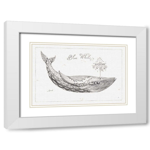 Underwater Life I White Modern Wood Framed Art Print with Double Matting by Brissonnet, Daphne