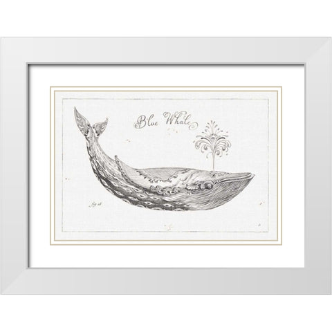 Underwater Life I White Modern Wood Framed Art Print with Double Matting by Brissonnet, Daphne