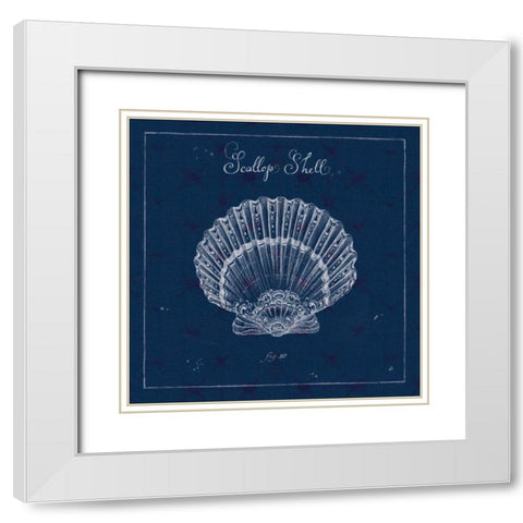 Underwater Life XV White Modern Wood Framed Art Print with Double Matting by Brissonnet, Daphne