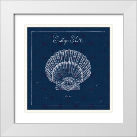 Underwater Life XV White Modern Wood Framed Art Print with Double Matting by Brissonnet, Daphne