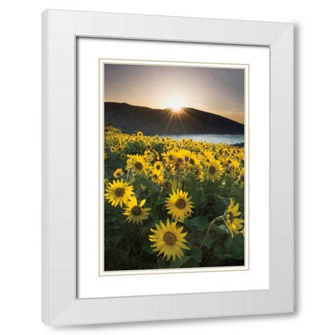 Columbia River Gorge Sunrise White Modern Wood Framed Art Print with Double Matting by Audit, Lisa