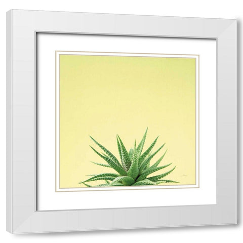 Succulent Simplicity I White Modern Wood Framed Art Print with Double Matting by Bradley, Felicity