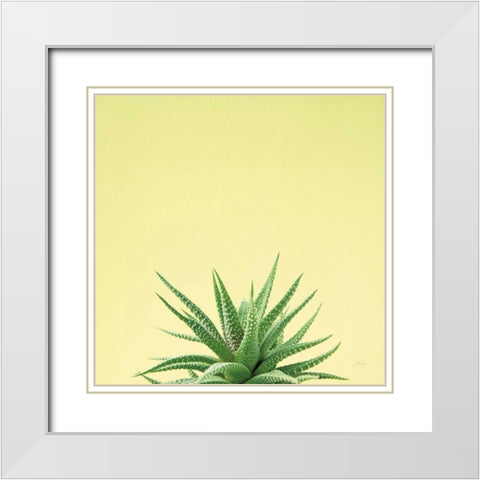Succulent Simplicity I White Modern Wood Framed Art Print with Double Matting by Bradley, Felicity