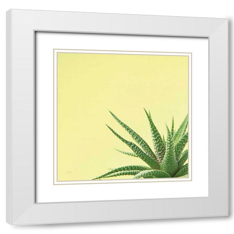 Succulent Simplicity II White Modern Wood Framed Art Print with Double Matting by Bradley, Felicity
