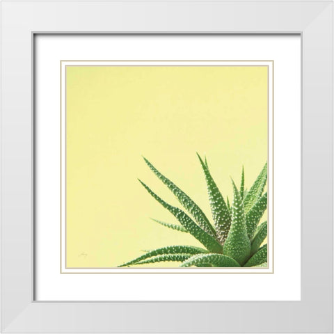 Succulent Simplicity II White Modern Wood Framed Art Print with Double Matting by Bradley, Felicity