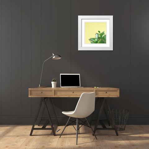 Succulent Simplicity IV White Modern Wood Framed Art Print with Double Matting by Bradley, Felicity