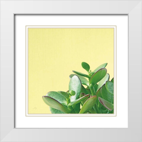 Succulent Simplicity IV White Modern Wood Framed Art Print with Double Matting by Bradley, Felicity