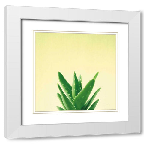 Succulent Simplicity V White Modern Wood Framed Art Print with Double Matting by Bradley, Felicity