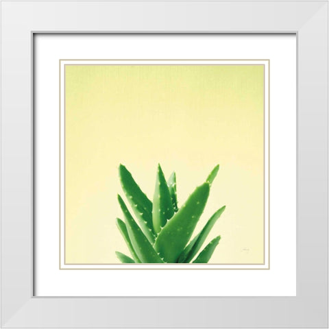 Succulent Simplicity V White Modern Wood Framed Art Print with Double Matting by Bradley, Felicity