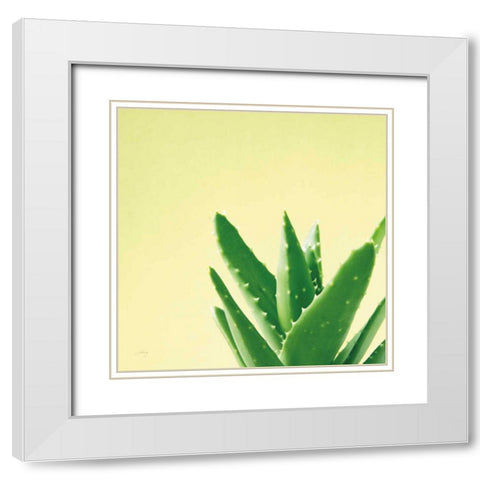 Succulent Simplicity VI White Modern Wood Framed Art Print with Double Matting by Bradley, Felicity