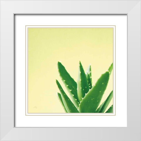 Succulent Simplicity VI White Modern Wood Framed Art Print with Double Matting by Bradley, Felicity