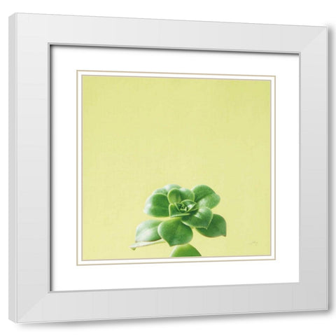 Succulent Simplicity VII White Modern Wood Framed Art Print with Double Matting by Bradley, Felicity