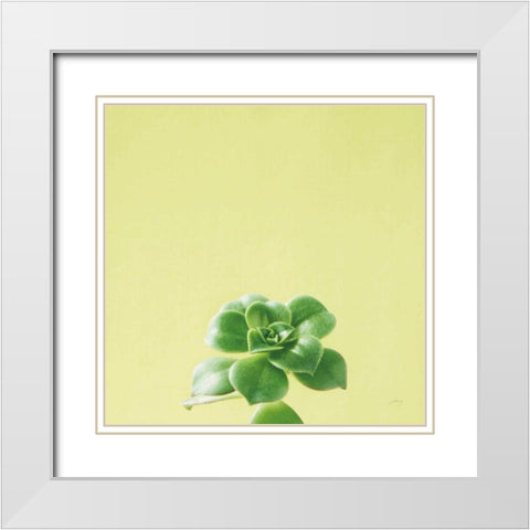 Succulent Simplicity VII White Modern Wood Framed Art Print with Double Matting by Bradley, Felicity