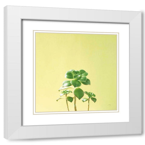 Succulent Simplicity IX White Modern Wood Framed Art Print with Double Matting by Bradley, Felicity