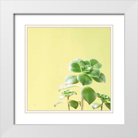 Succulent Simplicity X White Modern Wood Framed Art Print with Double Matting by Bradley, Felicity