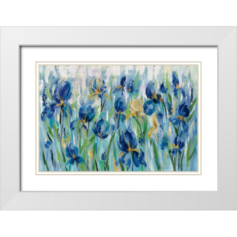 Iris Flower Bed White Modern Wood Framed Art Print with Double Matting by Vassileva, Silvia