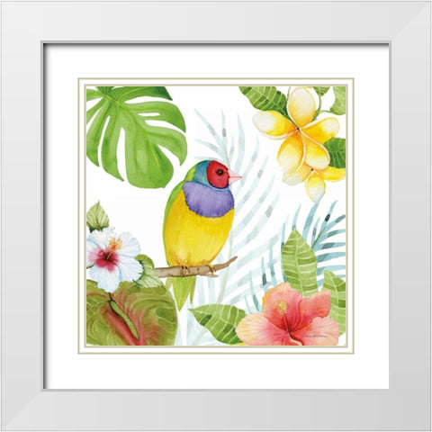 Treasures of the Tropics V White Modern Wood Framed Art Print with Double Matting by McKenna, Kathleen Parr