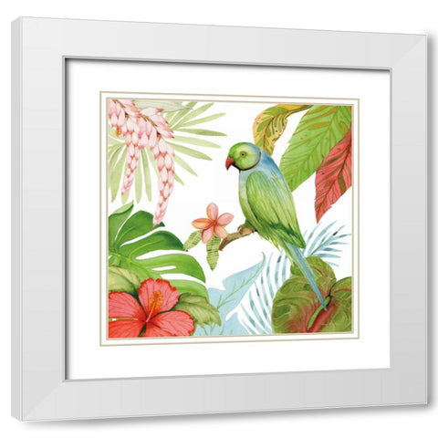 Treasures of the Tropics VII White Modern Wood Framed Art Print with Double Matting by McKenna, Kathleen Parr