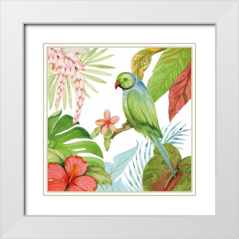 Treasures of the Tropics VII White Modern Wood Framed Art Print with Double Matting by McKenna, Kathleen Parr