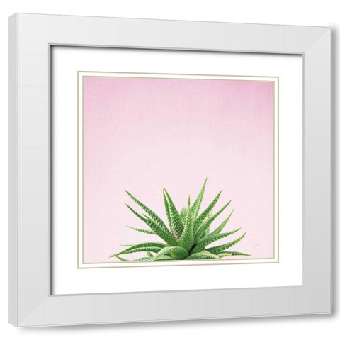 Succulent Simplicity I on Pink White Modern Wood Framed Art Print with Double Matting by Bradley, Felicity
