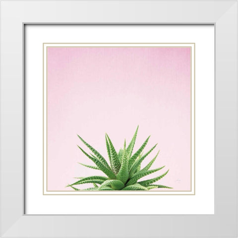 Succulent Simplicity I on Pink White Modern Wood Framed Art Print with Double Matting by Bradley, Felicity