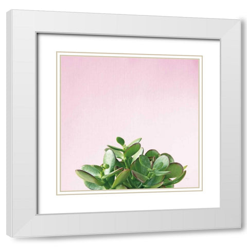 Succulent Simplicity III on Pink White Modern Wood Framed Art Print with Double Matting by Bradley, Felicity