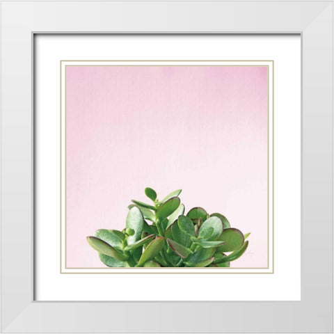 Succulent Simplicity III on Pink White Modern Wood Framed Art Print with Double Matting by Bradley, Felicity
