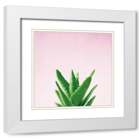 Succulent Simplicity V on Pink White Modern Wood Framed Art Print with Double Matting by Bradley, Felicity
