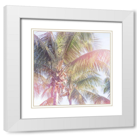 Dream Palm II White Modern Wood Framed Art Print with Double Matting by Schlabach, Sue