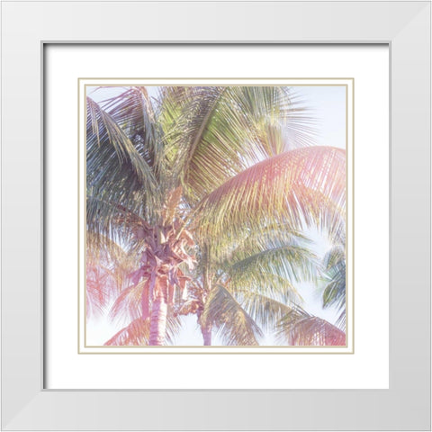 Dream Palm II White Modern Wood Framed Art Print with Double Matting by Schlabach, Sue