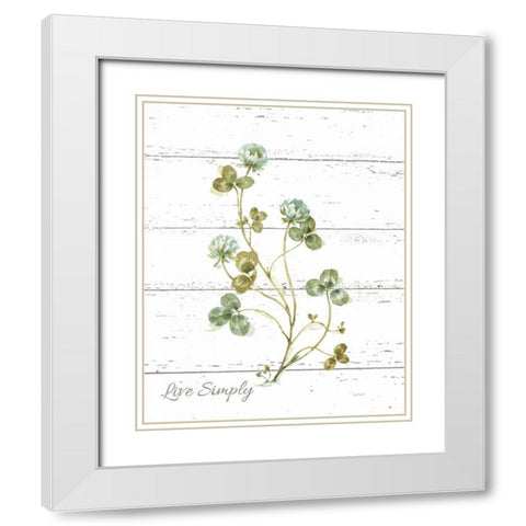 My Greenhouse Clover Live Simply White Modern Wood Framed Art Print with Double Matting by Audit, Lisa