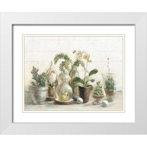Greenhouse Orchids on Shiplap White Modern Wood Framed Art Print with Double Matting by Nai, Danhui
