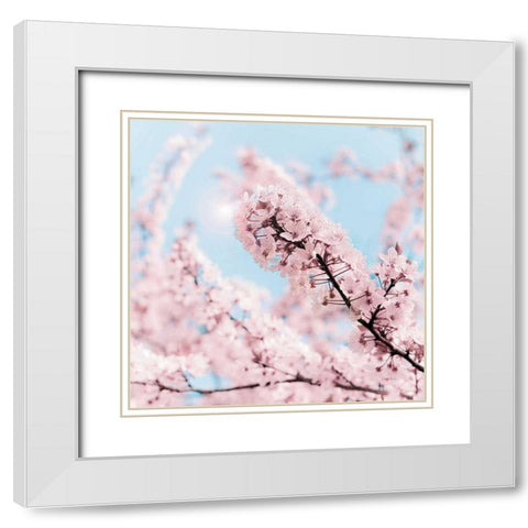Cherry Blossom Clouds White Modern Wood Framed Art Print with Double Matting by Bevan, Keri