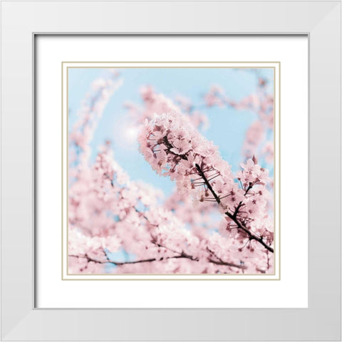Cherry Blossom Clouds White Modern Wood Framed Art Print with Double Matting by Bevan, Keri