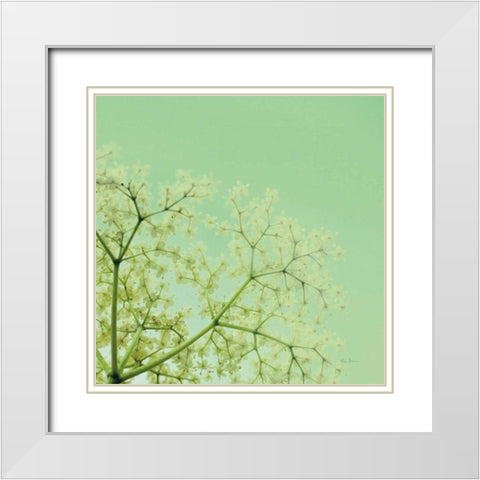 Cuckoo Flowers White Modern Wood Framed Art Print with Double Matting by Bevan, Keri