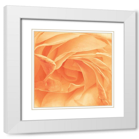 Georgia White Modern Wood Framed Art Print with Double Matting by Bevan, Keri