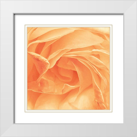 Georgia White Modern Wood Framed Art Print with Double Matting by Bevan, Keri