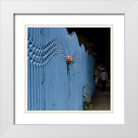 Rose on Pentonville White Modern Wood Framed Art Print with Double Matting by Bevan, Keri