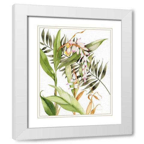 Botanical Shell Ginger Crop White Modern Wood Framed Art Print with Double Matting by McKenna, Kathleen Parr