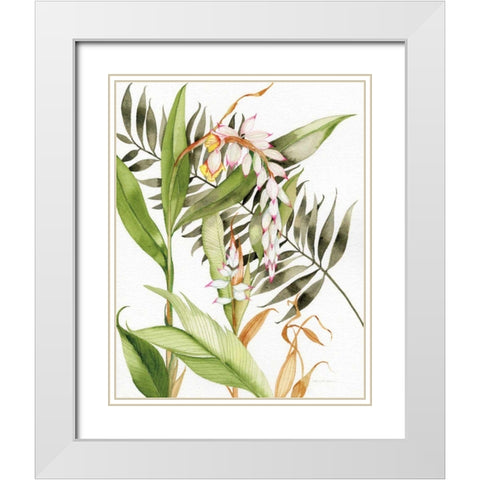 Botanical Shell Ginger Crop White Modern Wood Framed Art Print with Double Matting by McKenna, Kathleen Parr