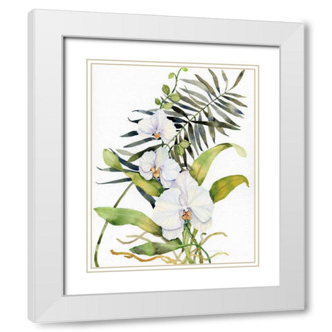 Botanical Phalaenopsis Crop White Modern Wood Framed Art Print with Double Matting by McKenna, Kathleen Parr