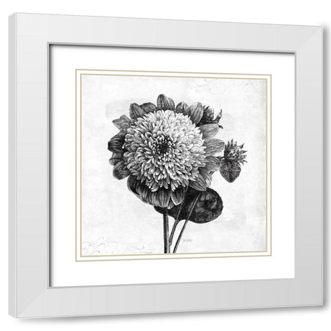 Spa Botanical II BW White Modern Wood Framed Art Print with Double Matting by Pertiet, Katie