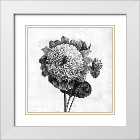 Spa Botanical II BW White Modern Wood Framed Art Print with Double Matting by Pertiet, Katie