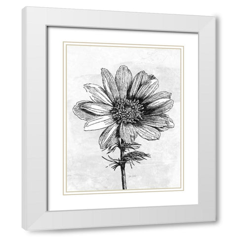 Spa Botanical IV BW Crop White Modern Wood Framed Art Print with Double Matting by Pertiet, Katie
