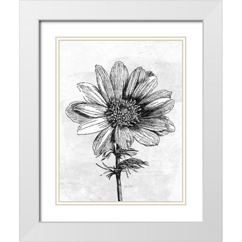 Spa Botanical IV BW Crop White Modern Wood Framed Art Print with Double Matting by Pertiet, Katie