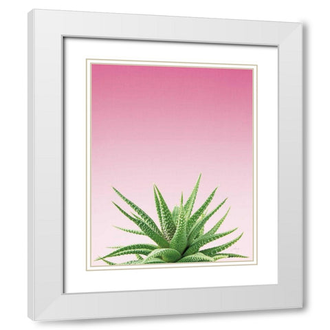 Succulent Simplicity I Pink Ombre Crop White Modern Wood Framed Art Print with Double Matting by Bradley, Felicity